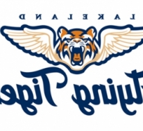 Lakeland Flying Tigers Tickets | Ticketst.com